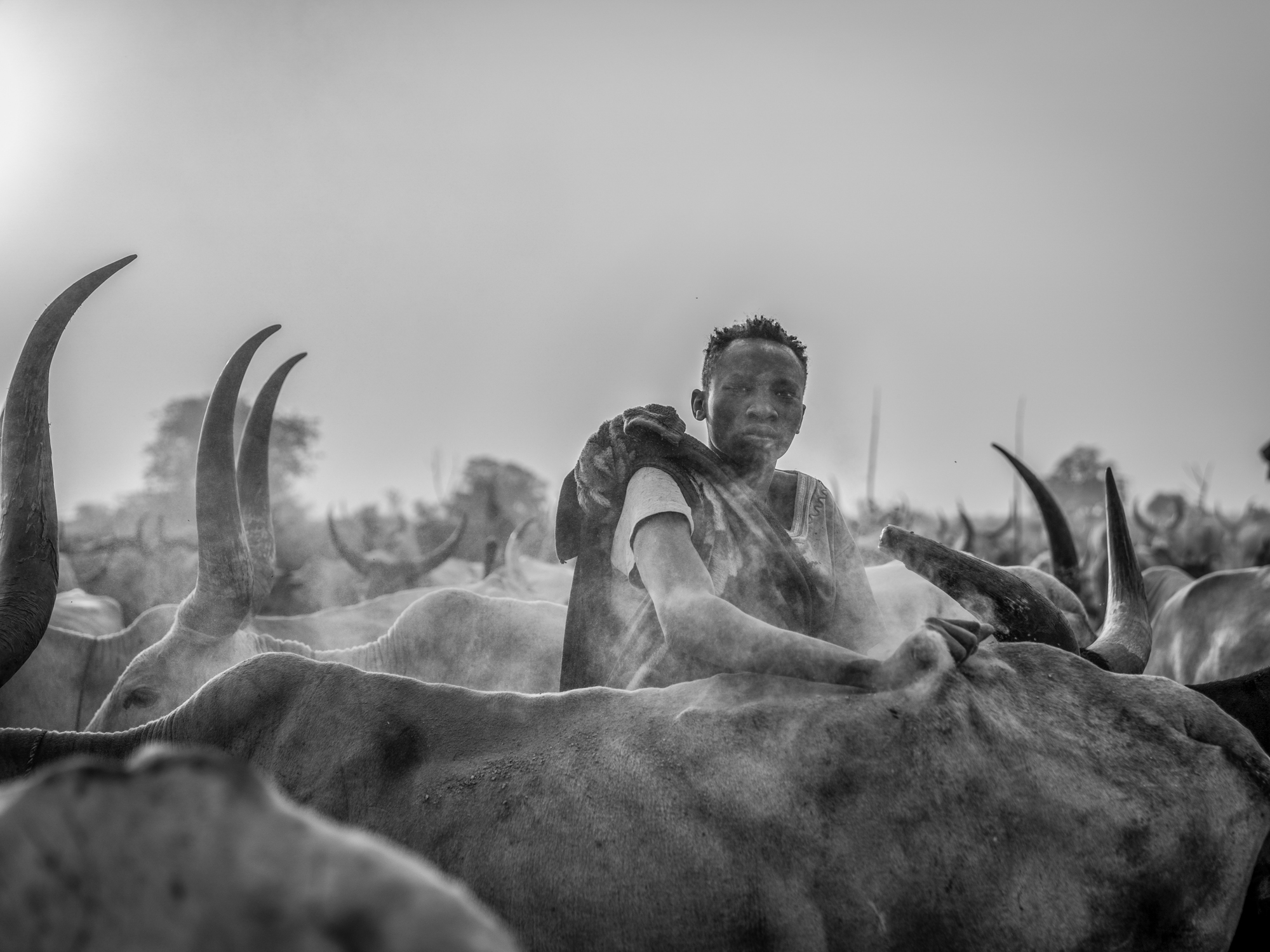 Keeping the herd safe